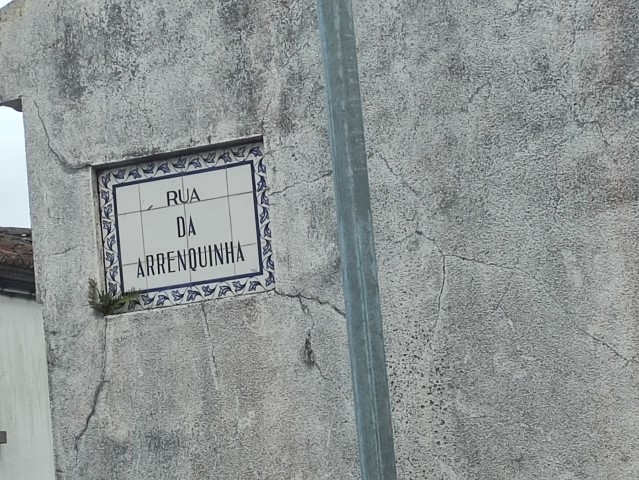 Lote 1 Lote 1