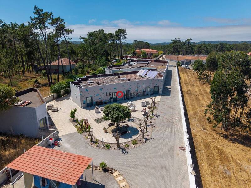Lote 1